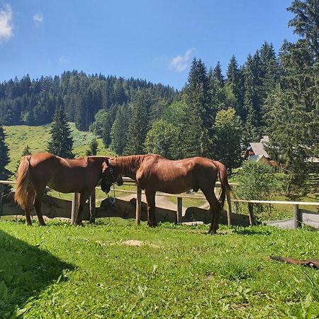 Koca Goska Ravan Hotell Kamna Gorica Exteriör bild