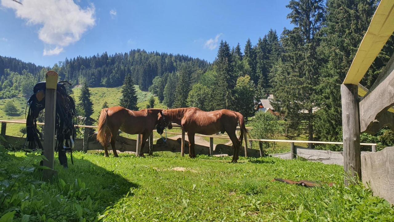 Koca Goska Ravan Hotell Kamna Gorica Exteriör bild